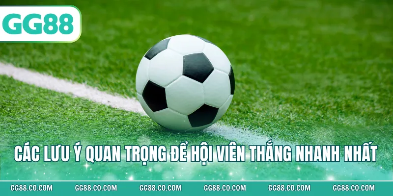Các lưu ý quan trọng để hội viên thắng nhanh nhất 