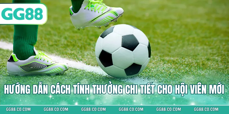 Hướng dẫn cách tính thưởng chi tiết cho hội viên mới 